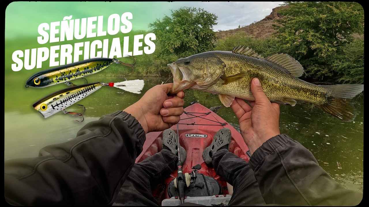 PESCANDO con SUPERFICIALES / CD. OBREGON - DIQUE 10