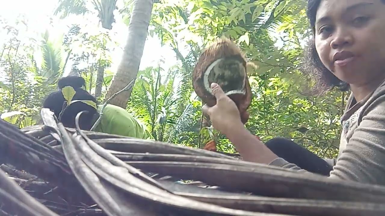 Hanap buhay nag kopras. 