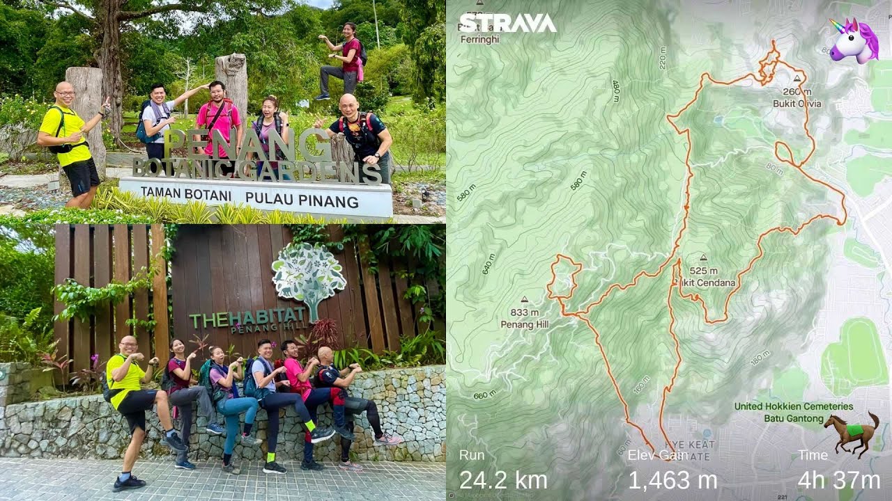 Ferrari Horse 🐎 🦄 Unicorn Trail - Penang Hiking vlog
