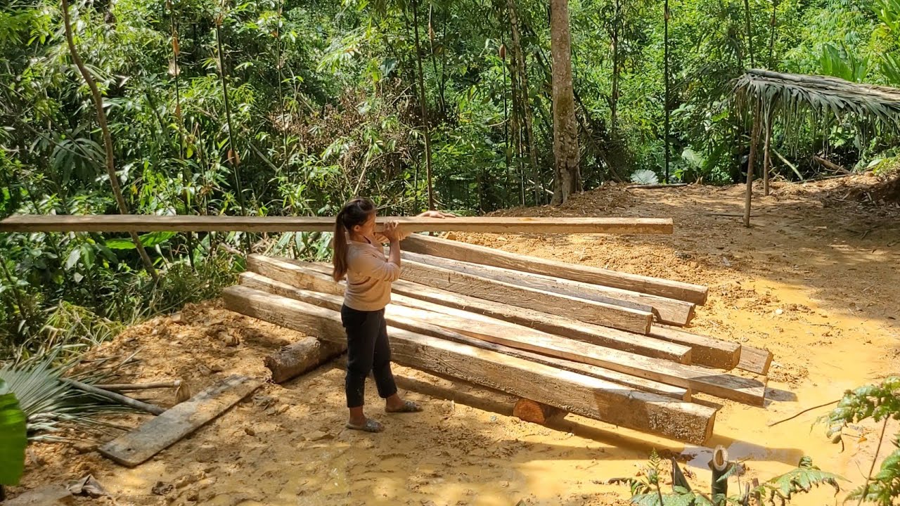 The girl's bamboo house was burned down by the bad guys -girl started to build a new house with wood