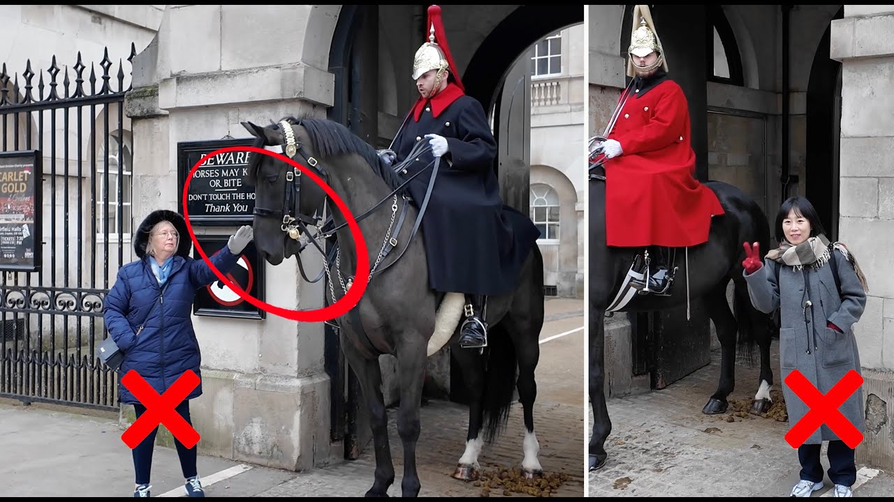 Guard’s Stern Warning DON’T TOUCH The Horse. Tourists!! Please Stay Out of the White Box.