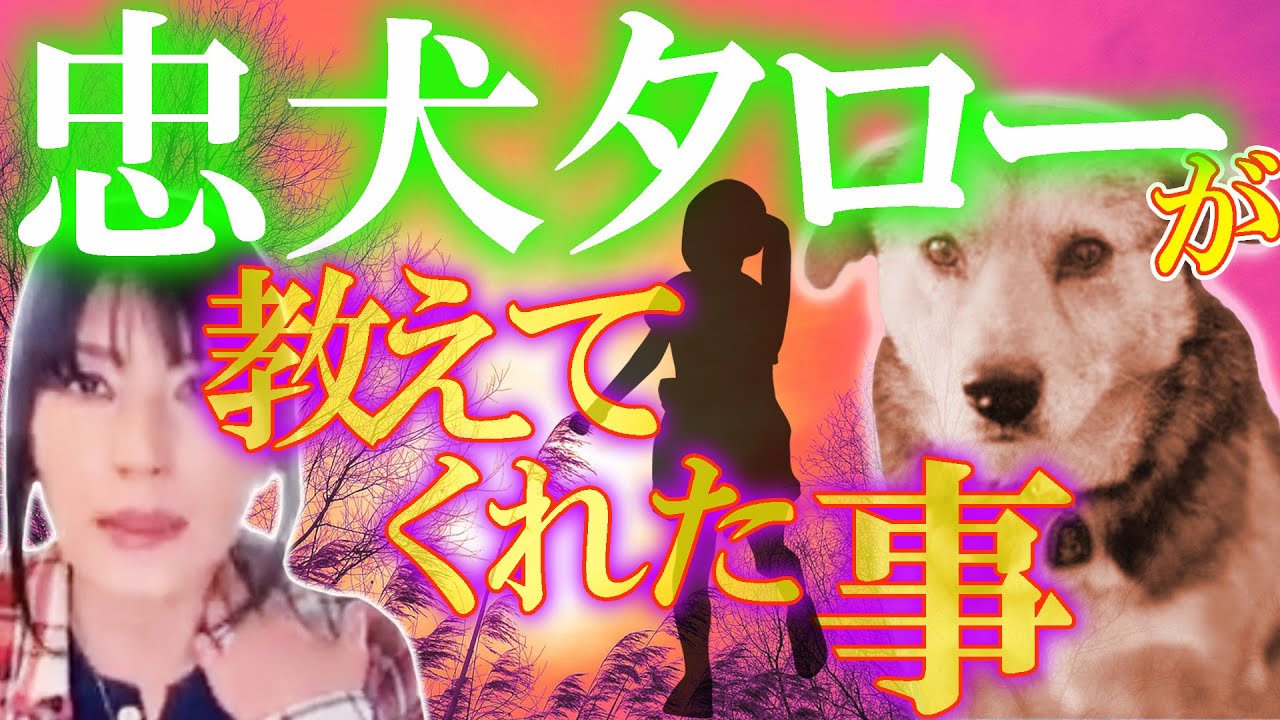🐕【17年間使命を全う✴️し尽きた命】石岡タロー‼️スタッフとウダウダLINEミーティング　たとえ離れても🌬️記憶を失くしても消えぬ程の、深く身体に刻まれた使命⚔️そしてそれを貫く🔥という事‼️