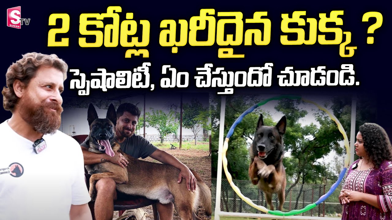 Mantravadi Chandrasekhar About Most Expensive Dog | Mantravadi Chandrasekhar Interview | SumanTV