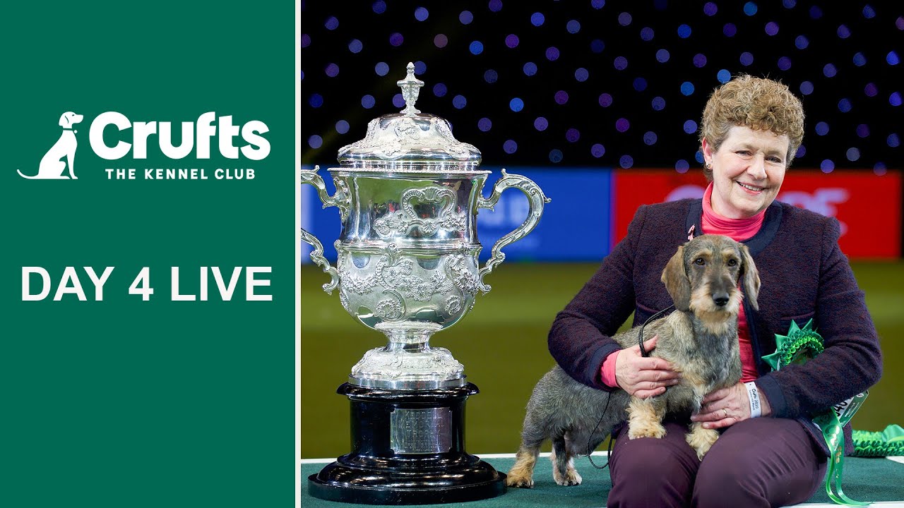 Day 4 Live | Crufts 2022