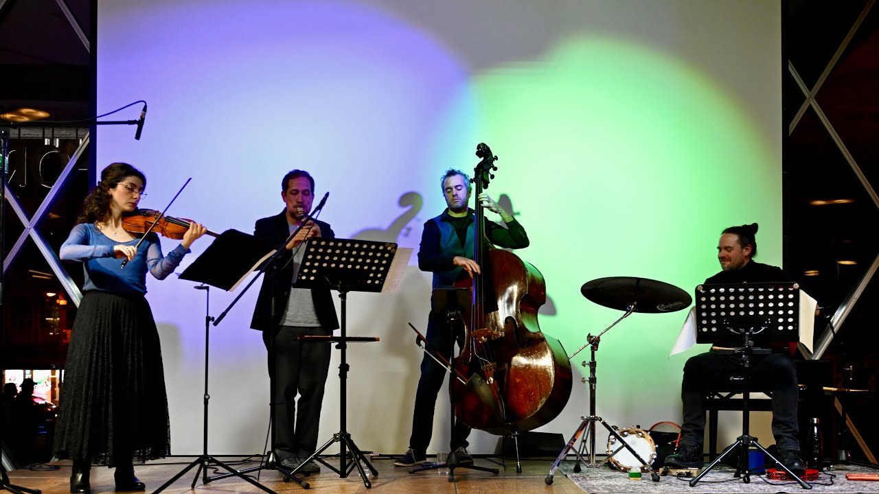 Ensemble Lignum Vitae live concert 