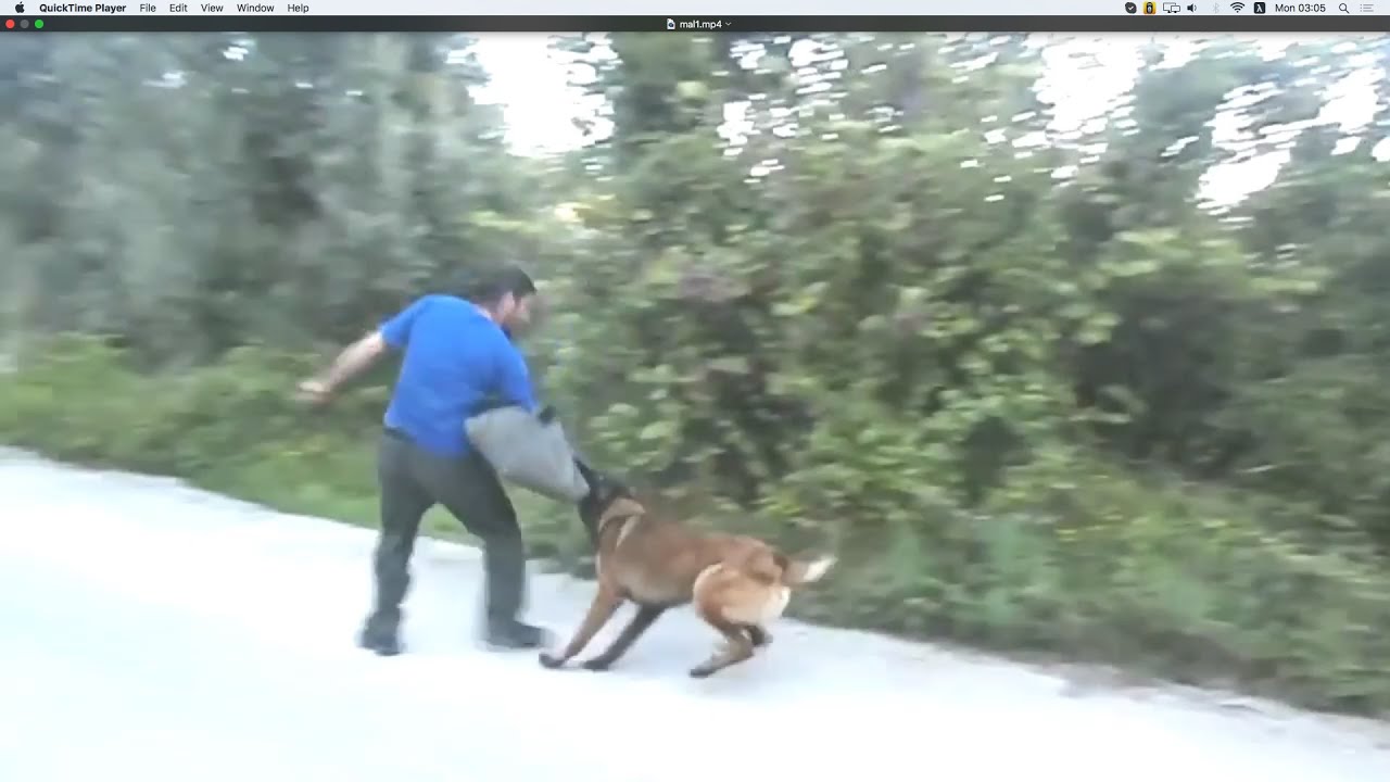 &Mu;&alpha;&lambda;&iota;&nu;&omicron;&upsilon;ά &epsilon;&kappa;&pi;&alpha;&iota;&delta;&epsilon;&upsilon;&mu;έ&nu;&omicron; &sigma;&tau;&omicron; ALFIPI.&Phi;&omicron;&beta;&epsilon;&rho;ό,&delta;&upsilon;&nu;&alpha;&tau;ό &delta;ά&gamma;&kappa;&omega;&mu;&alpha;.  