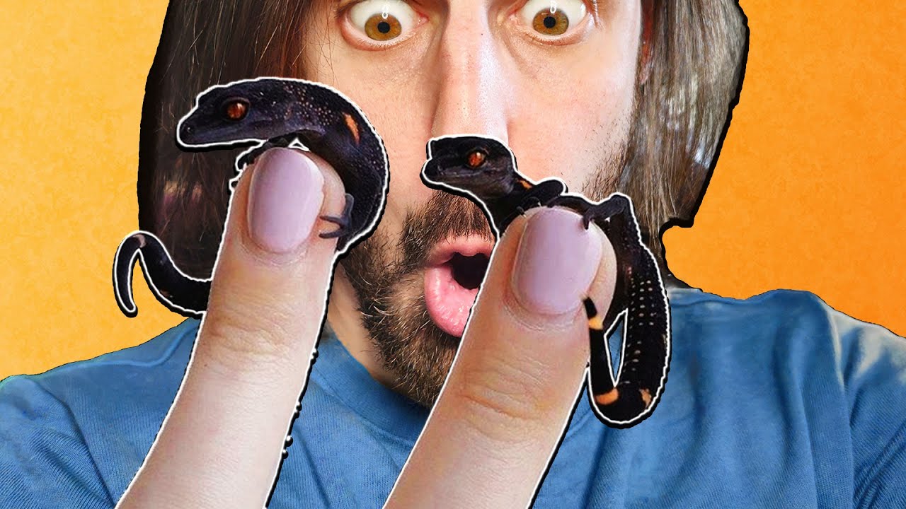 INCREDIBILE SCOPERTA - Ho Trovato Due UOVA!!