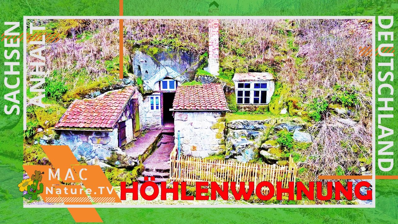 Langenstein Börnecke Rundweg - Eine Wanderung mit viel Geschichte auf dem Weg