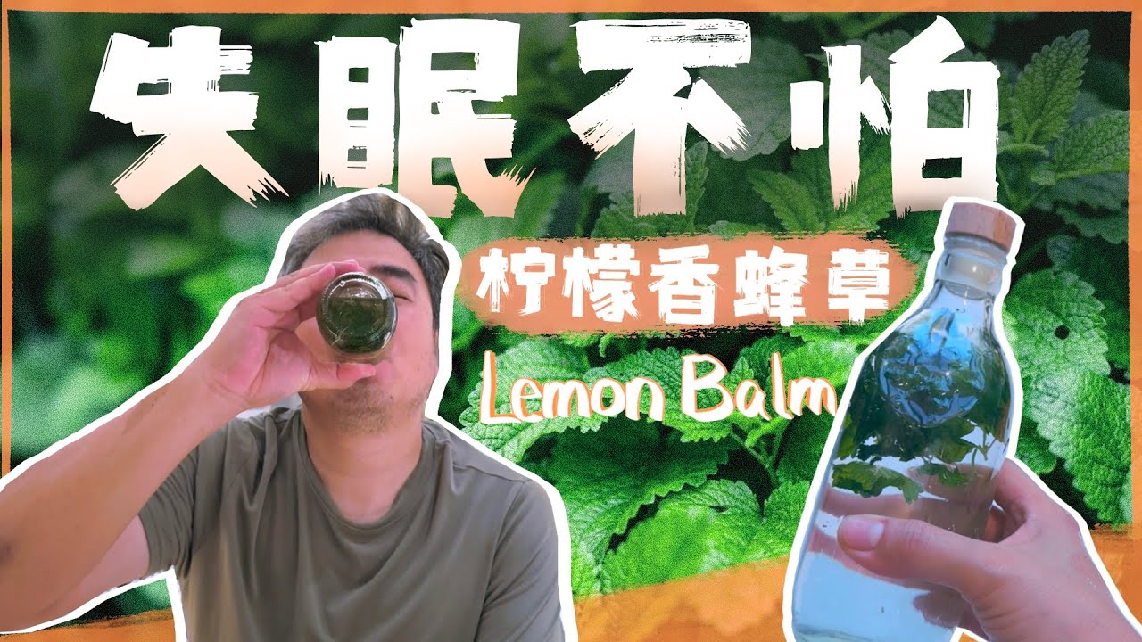 失眠？！自制助眠茶🍃柠檬香蜂草茶～