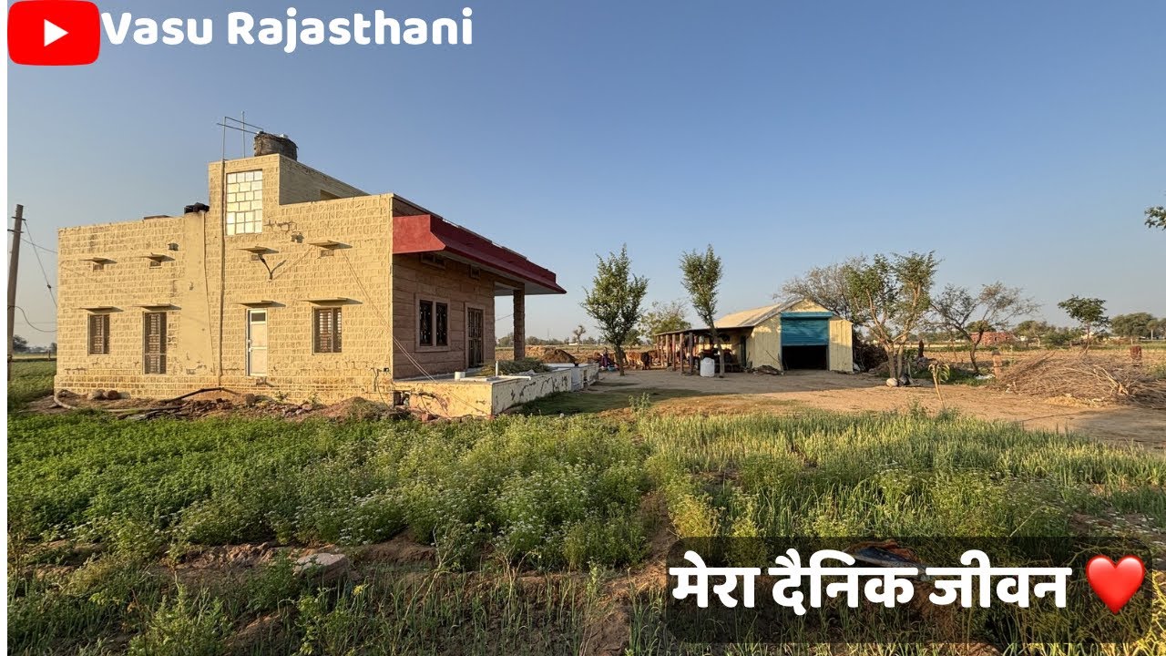 मेरा दैनिक जीवन ❤️ #vlog #dailyvlog 