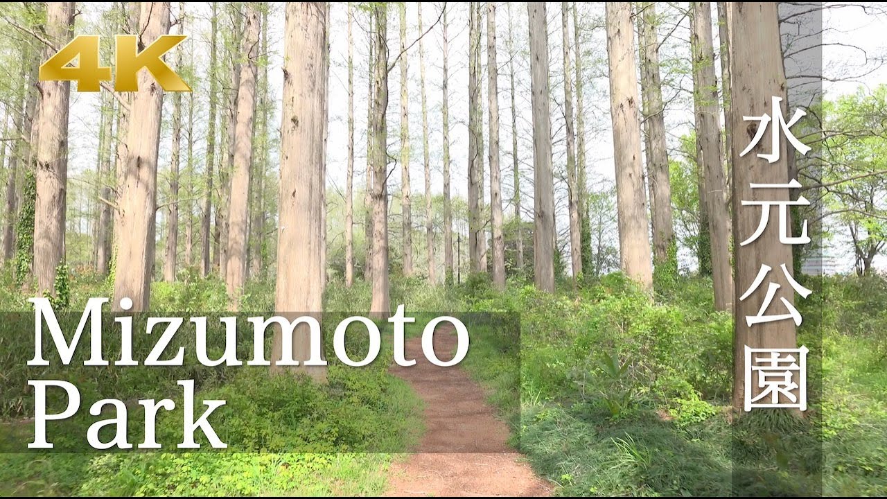 [Tokyo Walk] Mizumoto Park Tour Digest with Music - 4K 👀✨
