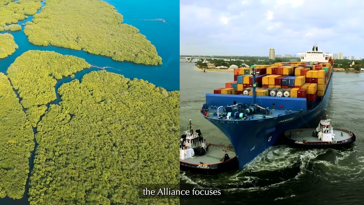 About the Florida Ocean Alliance
