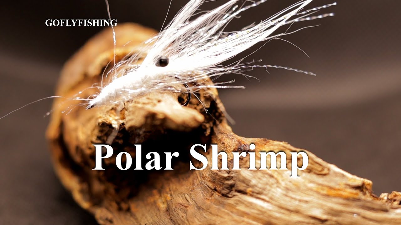 Saltwater flies tying - Saltwater Fly - Fly Tying - White Polar Shrimp
