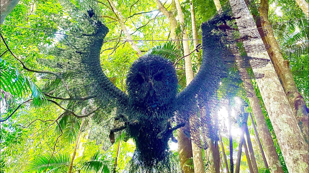Day trip to Mount Tamborine/ Gallery Walk/ Botanical Gardens/ it really is beautiful!!! 