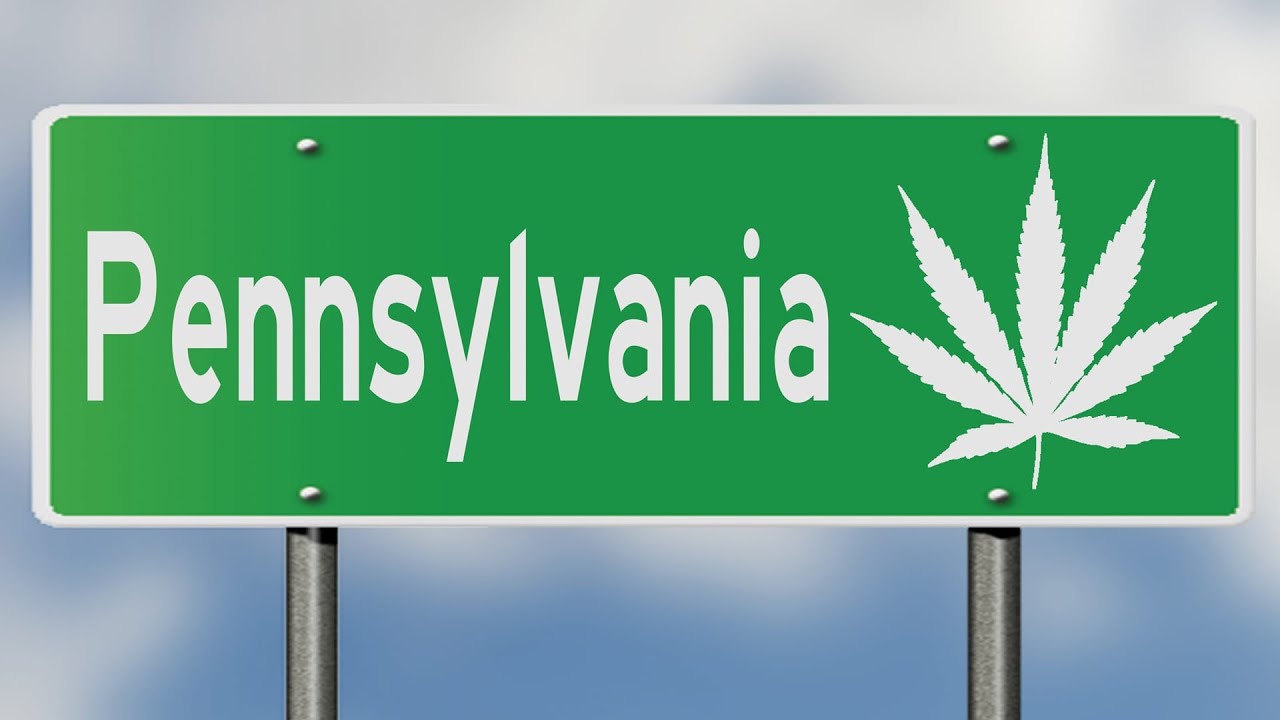 The FUTURE of PENNSYLVANIA's Cannabis Market