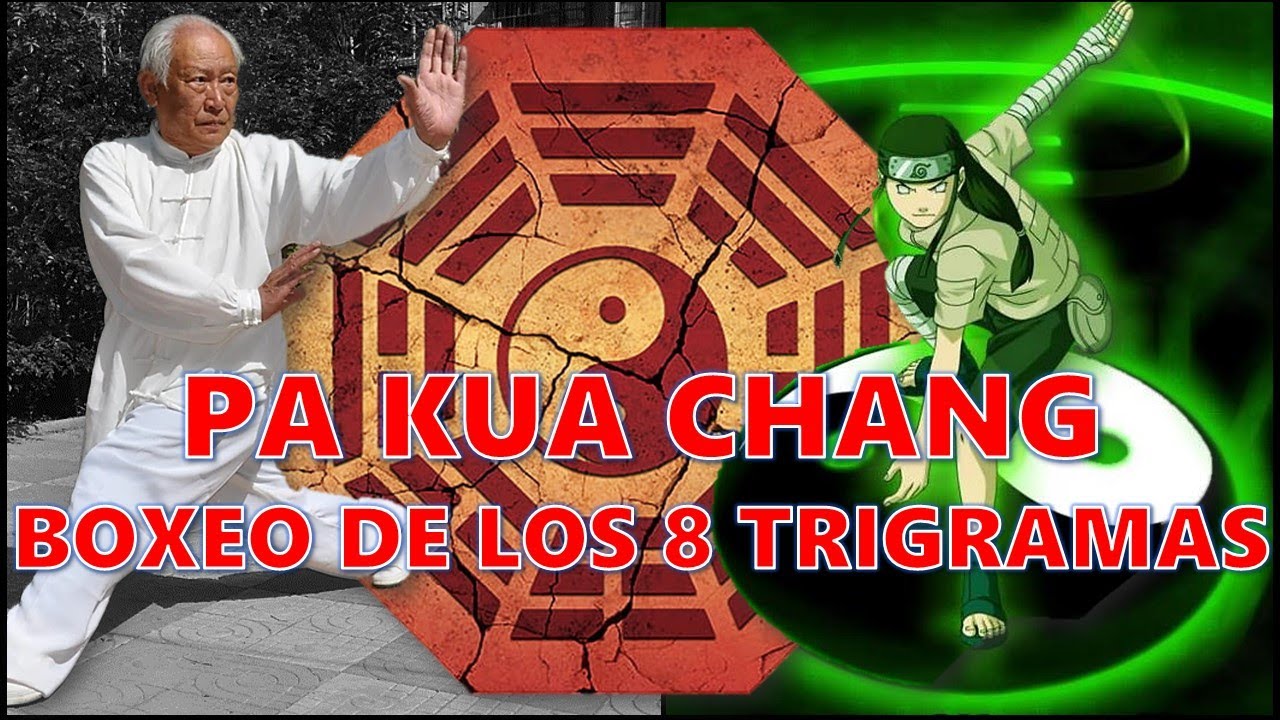 PA KUA CHANG el arte marcial de los GUARDAESPALDAS IMPERIALES