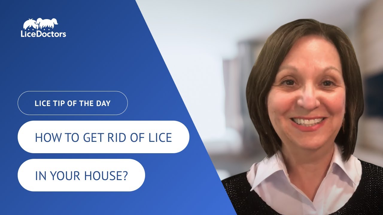 How To Get Rid Of Lice In Your House? | LiceDoctors