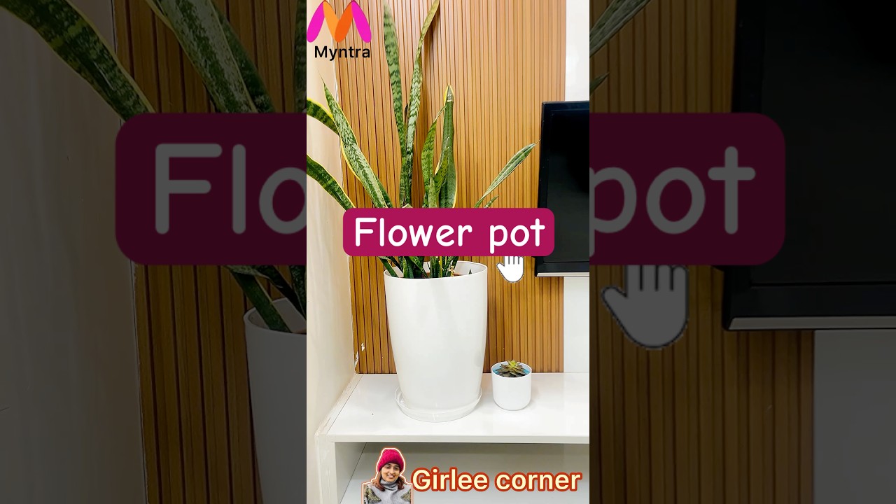 Most VIRAL Flower Pot on Internet 🌸 Unboxing Truth 