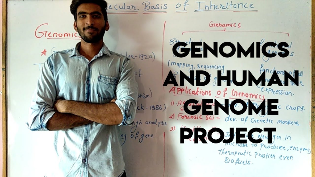Genomics | Human genome project | Molecular basis of inheritance part 9
