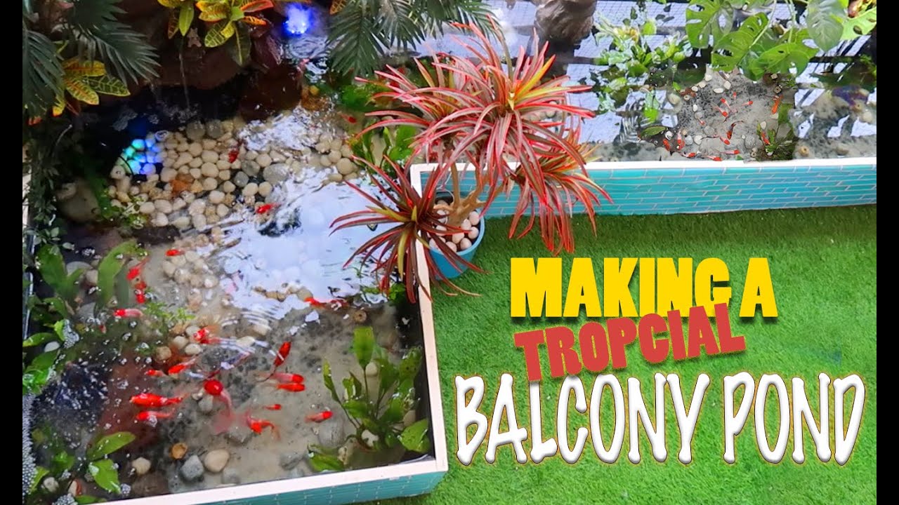 Easy pond hacks to transform your balcony into a water garden paradise with fish