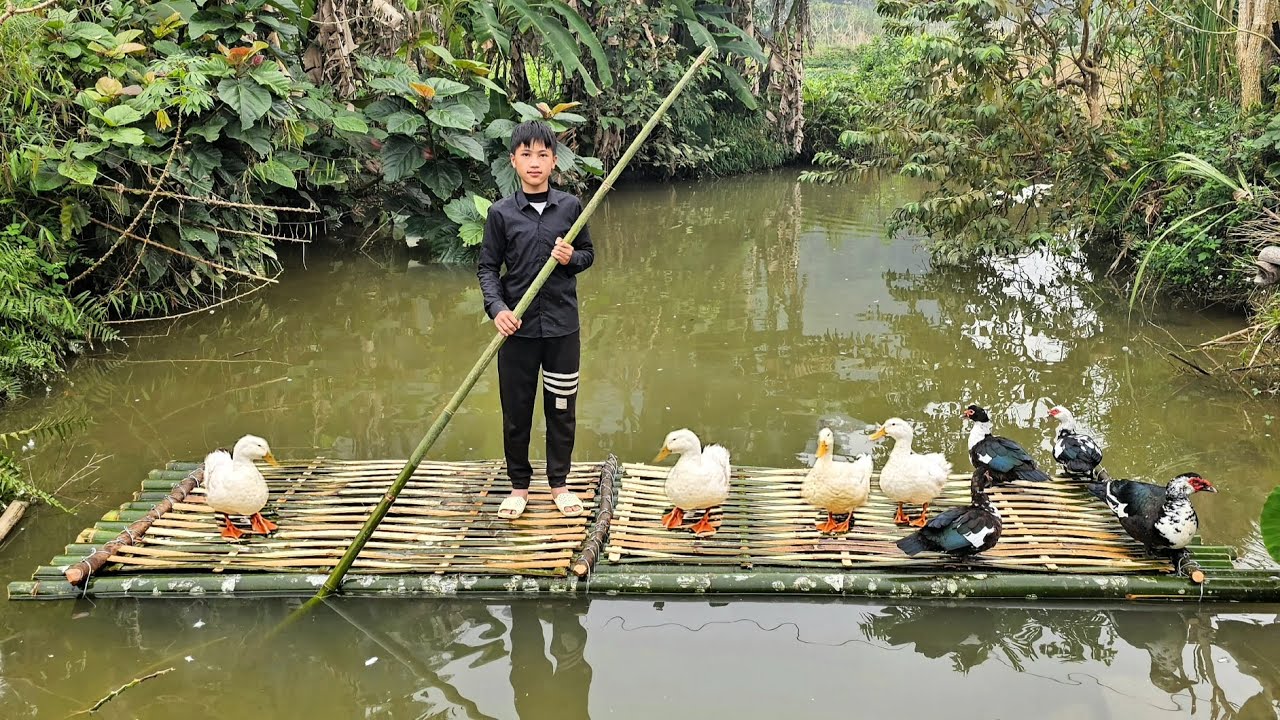 Nam used bamboo to build a floating duck coop for his ducks to live in. Episode 1