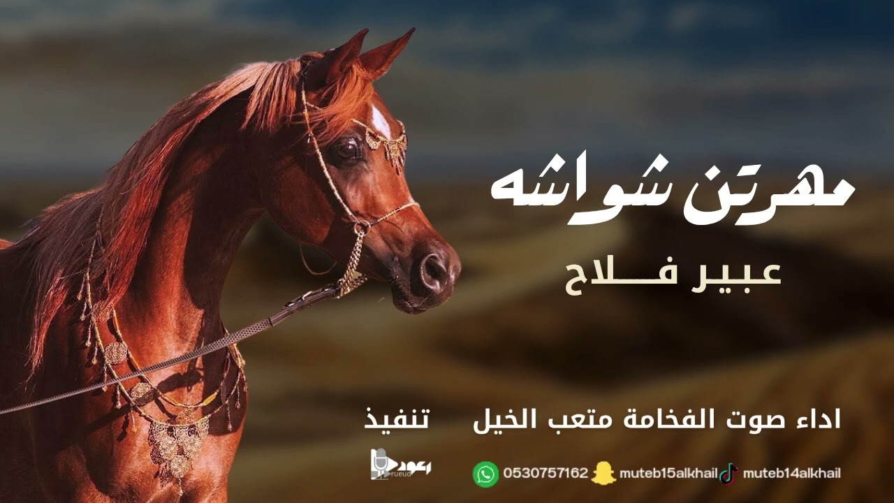 شيلة مهرتن شواشه آداء صوت الفخامه متعب الخيل جديد 2025 حصرياً
