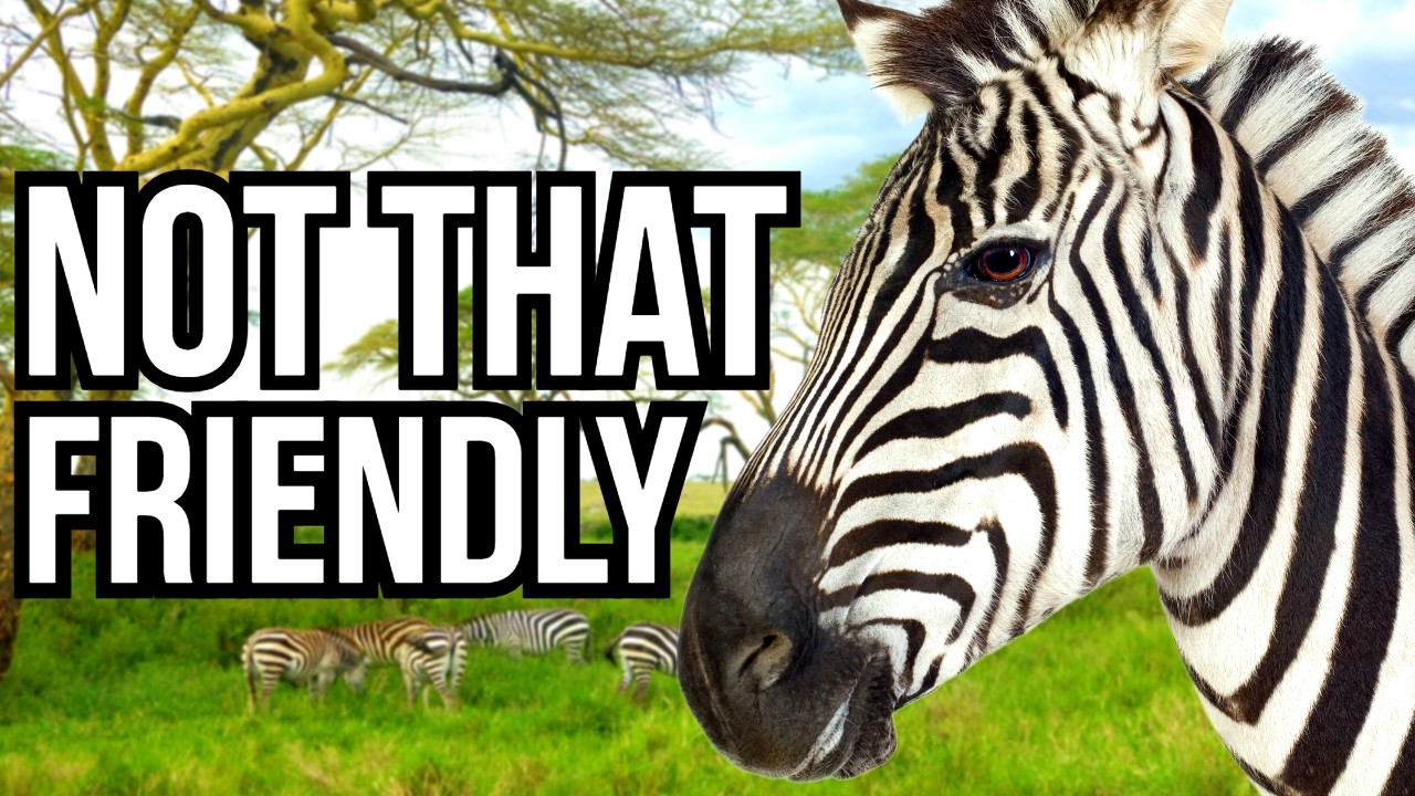 6 African Herbivores That Eliminate Other Herbivores Almost As Much As Predators Do