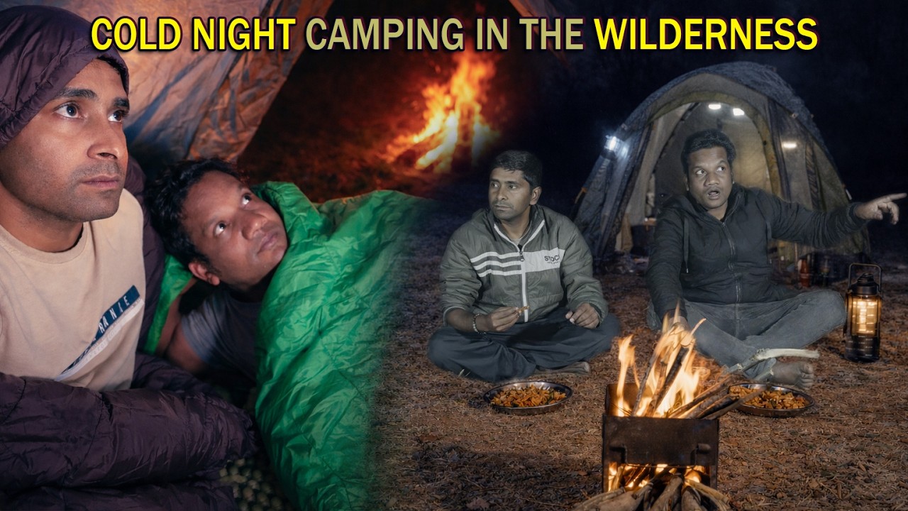 Winter Night Wilderness Camping 🔥Relaxing Forest Campfire & Cozy Tent Stay | Camping In India
