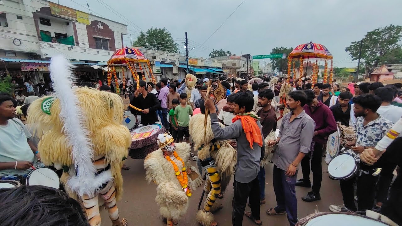 प्रभु राम कृपा Dhumal 🐯 Rajnandgaon मोहर्रम में 🐯 || Rajnandgaon Zone