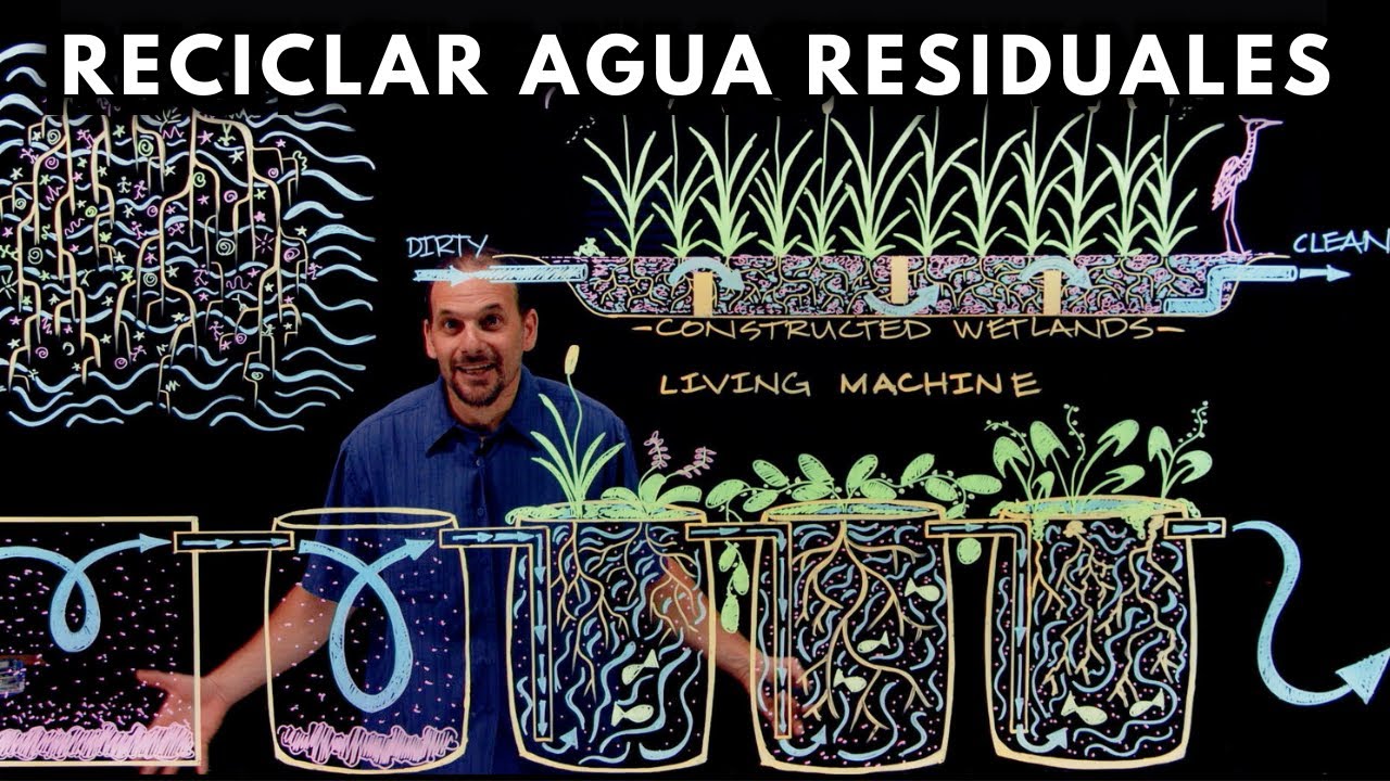Cómo Reciclar Agua Usando Plantas