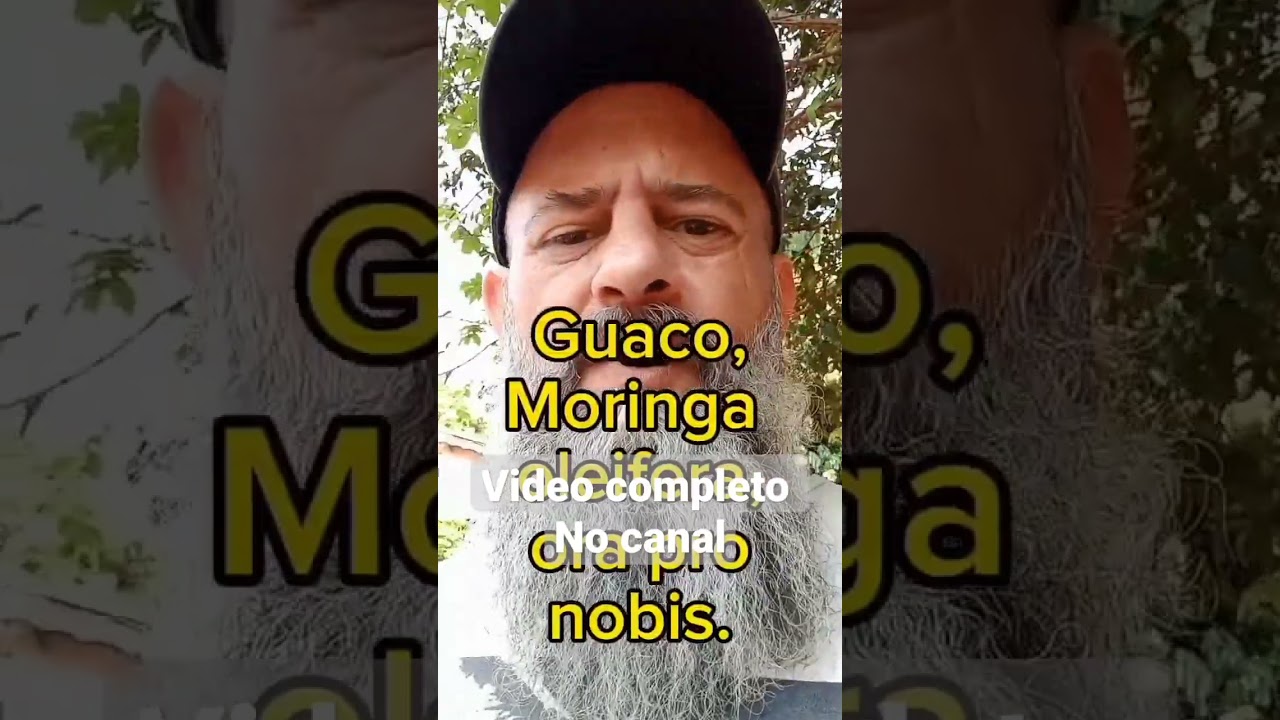 #avicultura #avessaudaveis #aves