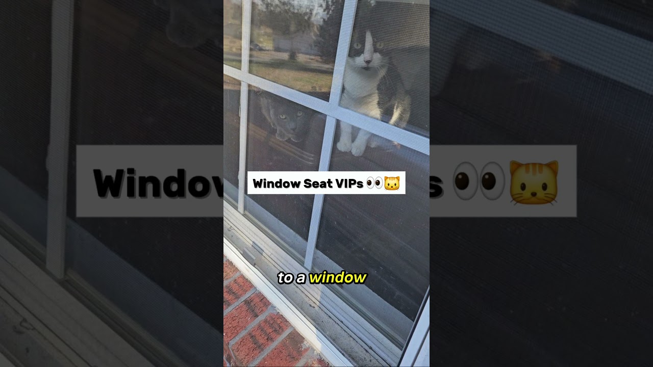 Don’t Live at the Window — Walk by Faith 🚪 