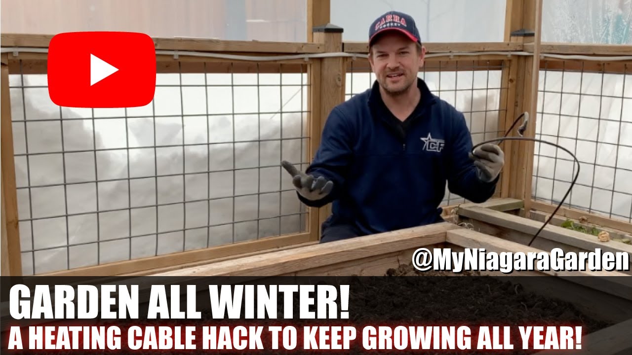 A HEATING CABLE WINTER GARDENING HACK: Grow & Harvest Cold Hardy Crops ALL WINTER! | MyNiagaraGarden