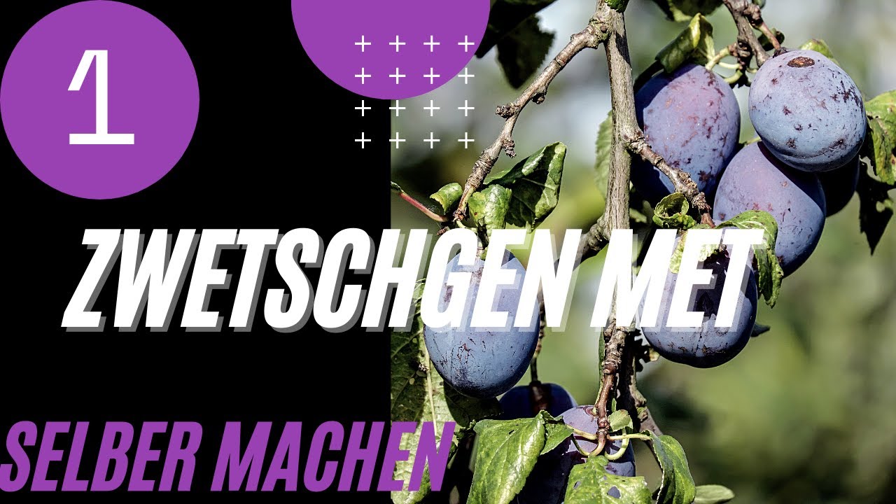 Zwetschgen Met / Honigwein selber machen Teil 1/4