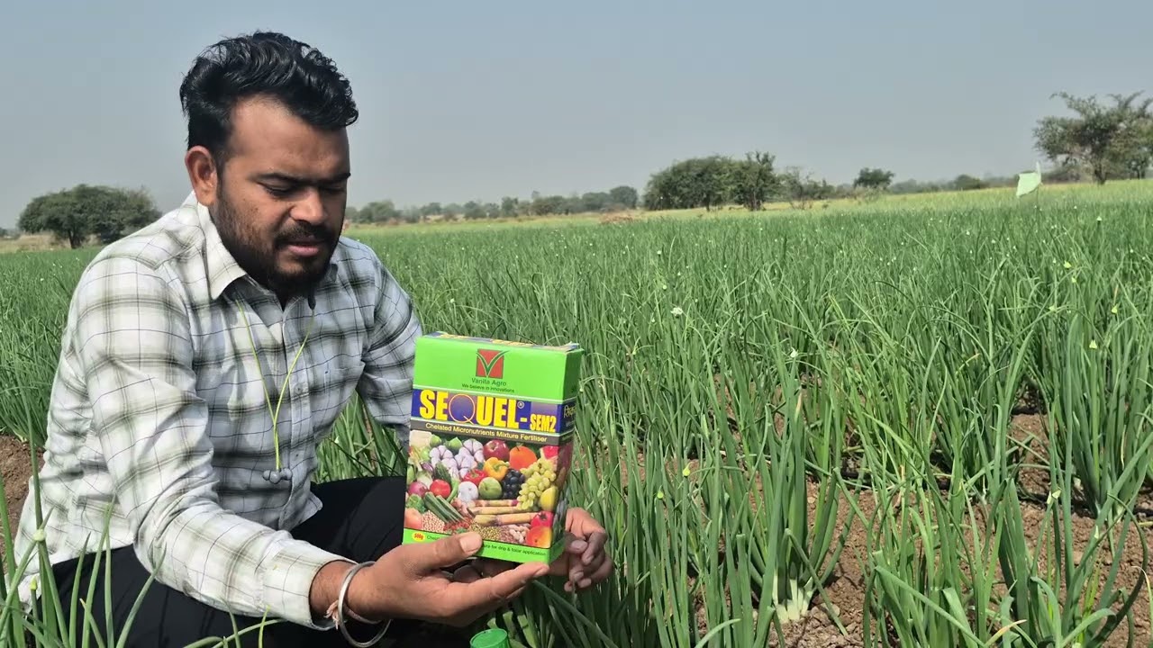      कांदा पीक नियोजन # दूसरी फवारणी #                    ​