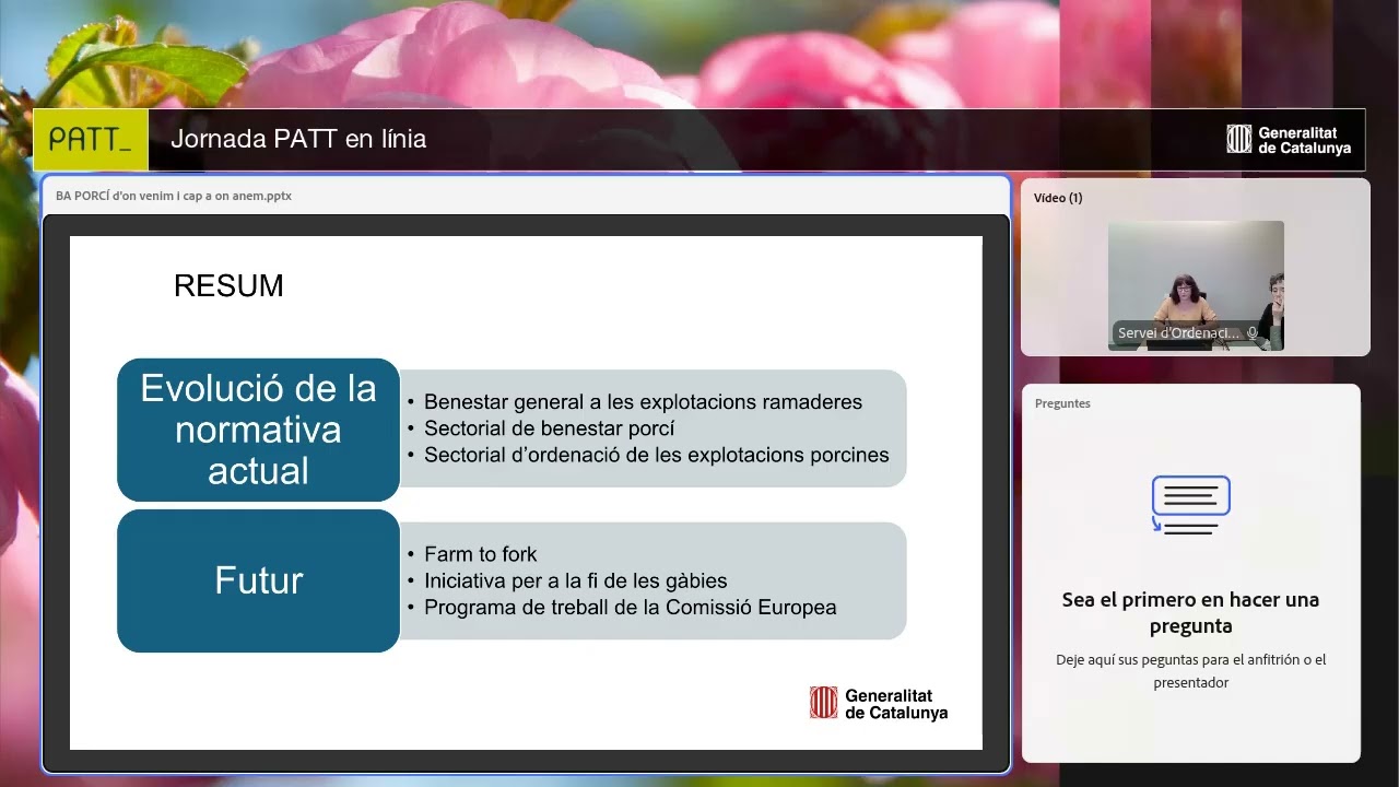 Requisits en matèria de benestar a les explotacions porcines