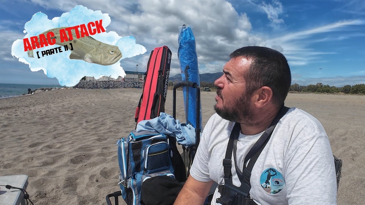 Arac Attack II parte