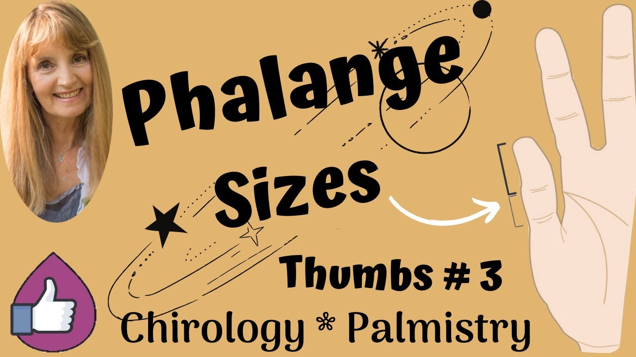 Thumb Phalanges - Relative Length - Chirology - Palm Reading
