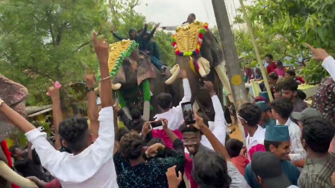 Pudunagaram nercha 2023 💥🔥💥Akkarammal mohanan VS Uttoly Ananthan#keralaelephant #keralaelephants