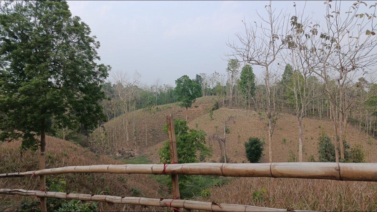 আজ একটু তাড়াতাড়ি চলে এলাম বন্ধুরা