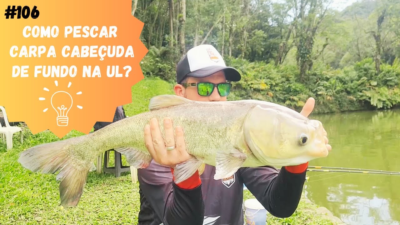 Como pescar carpa cabeçuda de fundo na UL?