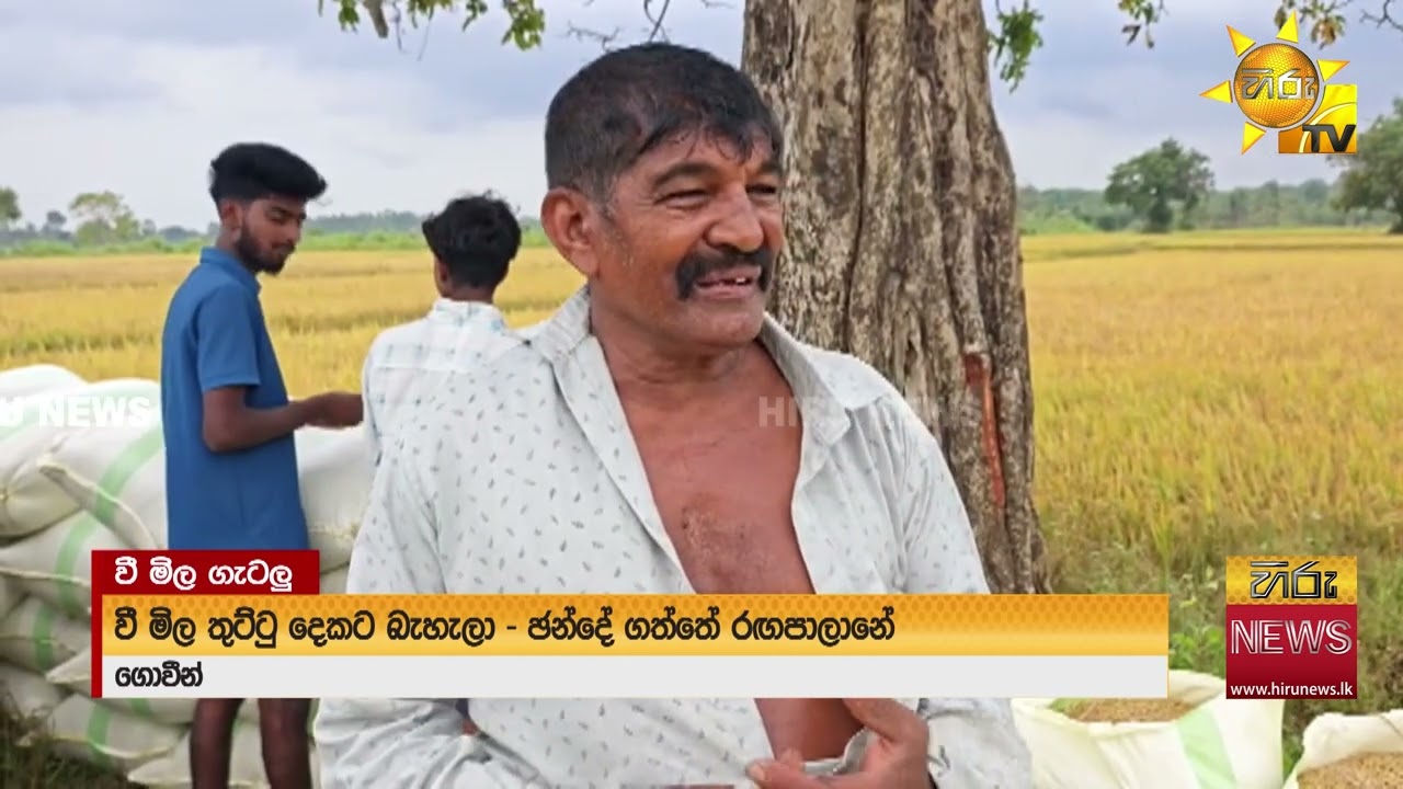 මහ කන්නයේ වී අස්වනු මිලදී ගැනීමට රජය අසමත් -ගොවීන්-- Hiru News