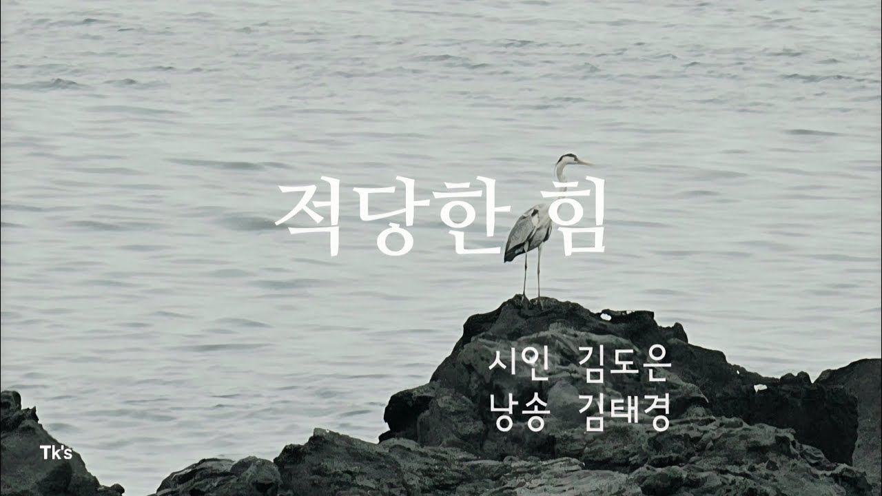 적당한 힘 │ 김도은 │ 2025 국제신문 신춘문예 │ 시낭송 김태경