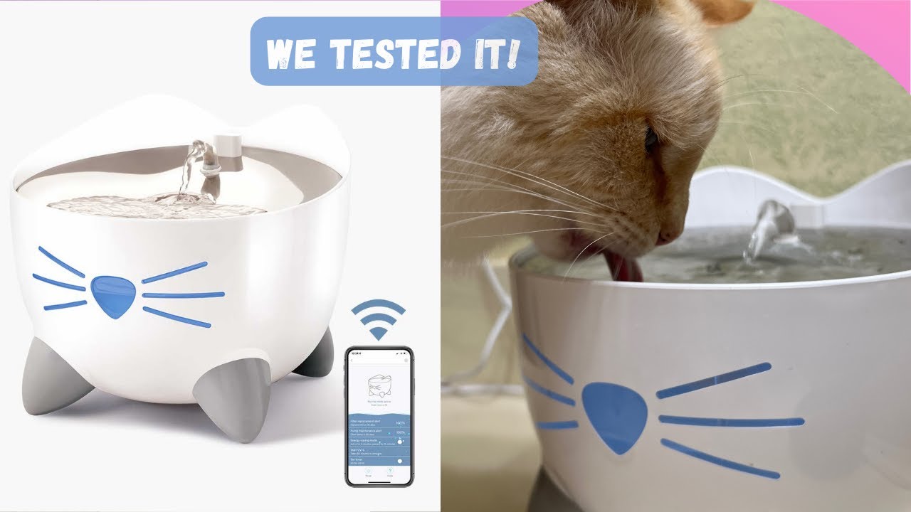 Catit PIXI Smart Fountain Review- what's special about it?