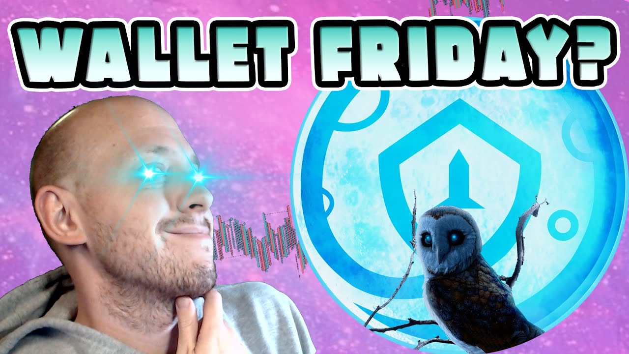 SAFEMOON WALLET OPEN BETA FRIDAY? Full Moon OWL Clues *REVEALED* [SafeMoon News & Updates]