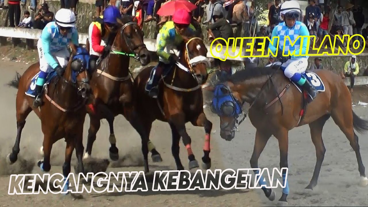 JAMUNYA APA SIH BISA SEKENCENG INI??!! HAMPIR SENGGOLAN, KUDA QUEEN MILANO TERKENCANG 1850meter!!
