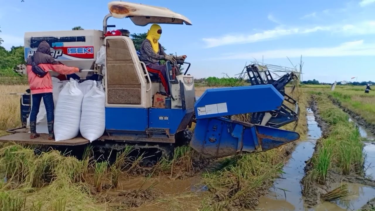 Mesin Panen padi tercepat#245