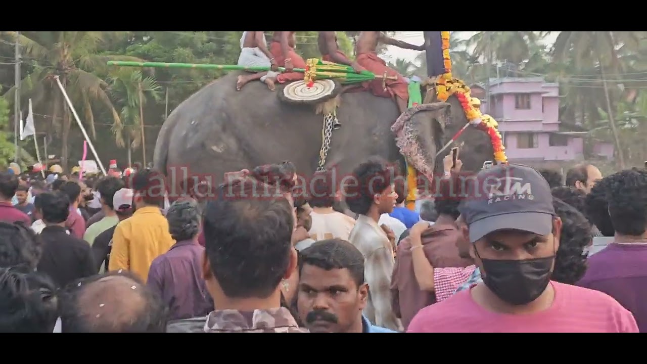 അവിടെ അപ്രതീക്ഷിതമായി കണ്ടത് 🥴🙁#youtubeshortsvideo#viralchannel#youtubeshortsviral#pooram2026#kerala