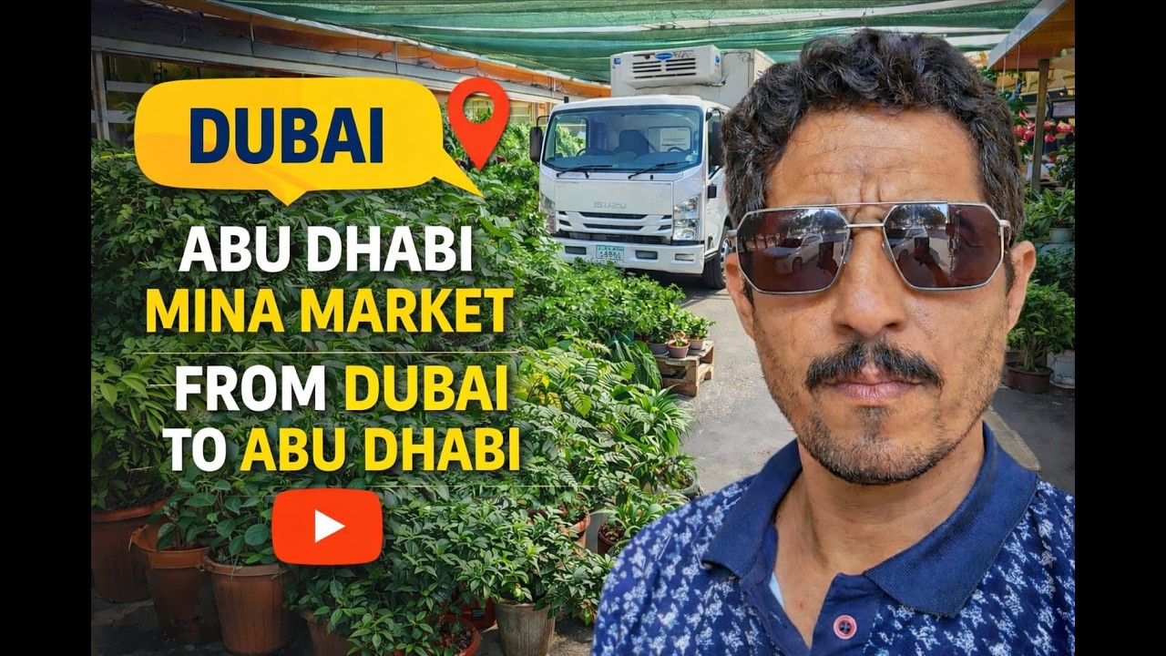 Dubai to Abu Dhabi Mina Plants Market Road Trip