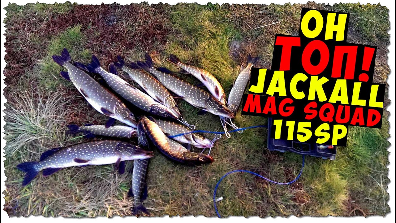 Она ЖРАЛА как в ПОСЛЕДНИЙ раз! УБОЙНАЯ проводка для ЗИМНЕЙ щуки/Jackall Mag Squad 115SP/ДЕКАБРЬ 2021